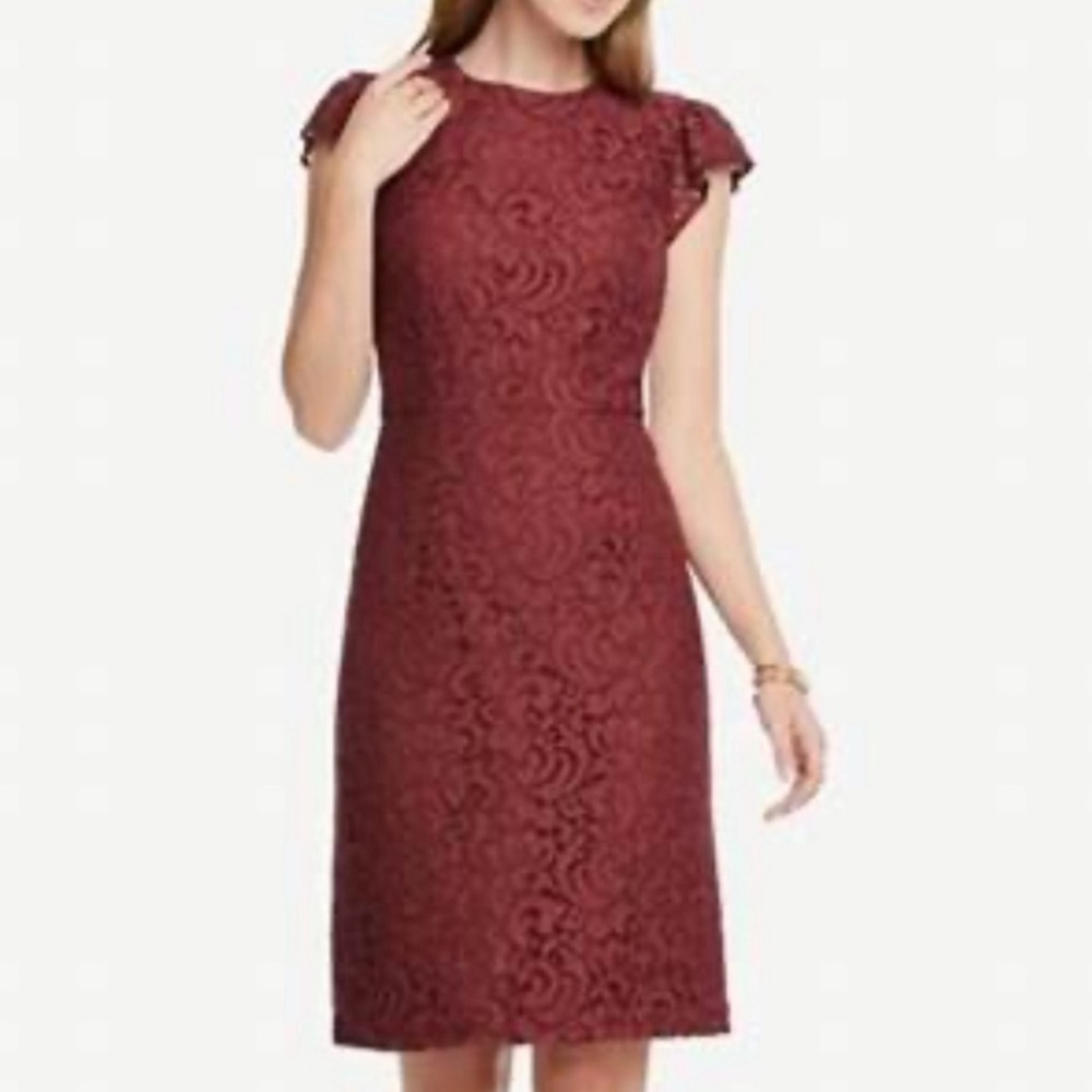 NWT, Ann Taylor Lace Overlay Sheath Dress